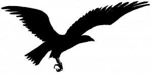 The Raven